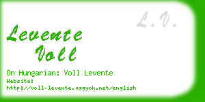 levente voll business card